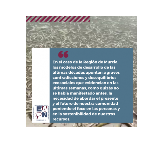 191114 imagen mar menor web adaptada EAPN Murcia Mar Menor