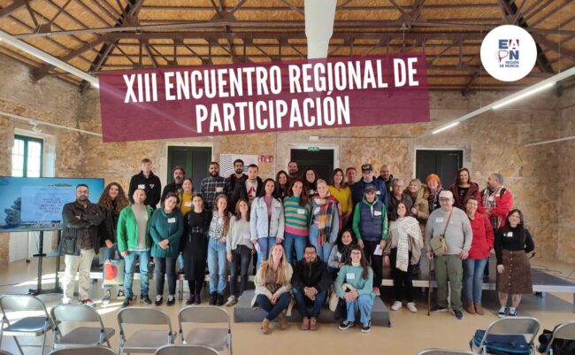 Copia de cifrandemia XIII Encuentro Regional de Participación
